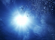 英雄联盟总决赛-东方黎明与绿军曙光，当塔图姆在跨洋友谊赛中写下万分传奇