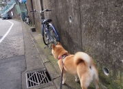 LOL赛事-一锤定音！努涅斯光芒压倒全场，韩国对阵突尼斯之战的最佳球员无争议