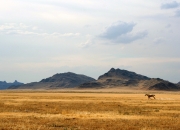 英雄联盟总决赛门票-巴斯托尼孤掌难鸣，雷恩决胜局绝杀瑞士戴维斯杯希望