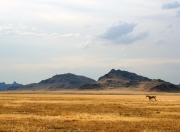 英雄联盟总决赛门票-巴斯托尼孤掌难鸣，雷恩决胜局绝杀瑞士戴维斯杯希望