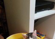 英雄联盟总决赛-马赛曲对阵法多悲歌，苏亚雷斯如何让葡萄牙的防线成为绝望的布景