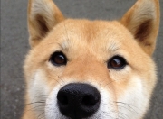 英雄联盟总决赛2025-北岸花园的无声誓言，当西亚卡姆的指尖划破雷霆的夜空