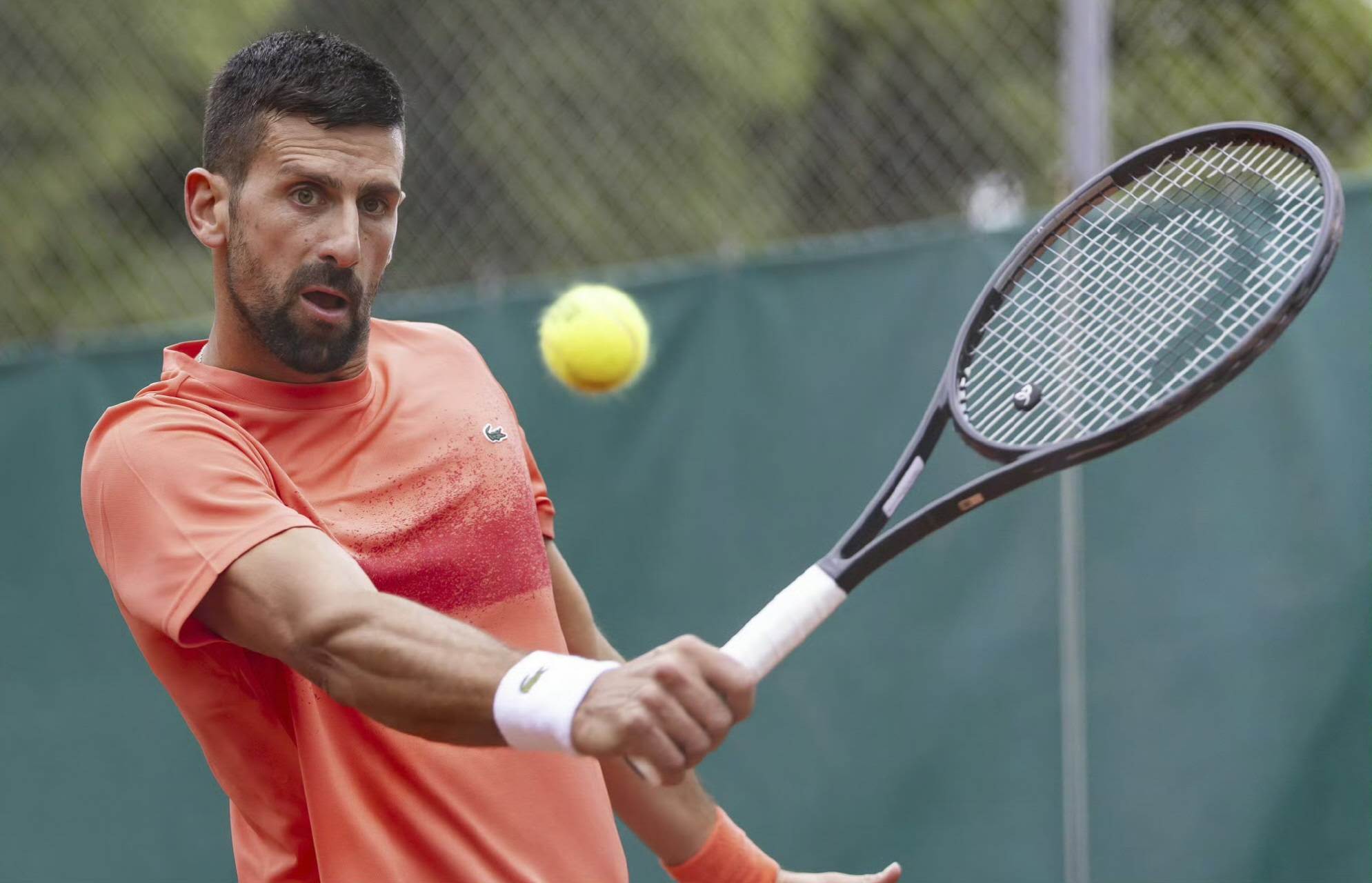 法网险胜年终总决赛,德约科维奇统治全场的简单介绍 法网险胜年终总决赛,德约科维奇统治全场的简单介绍