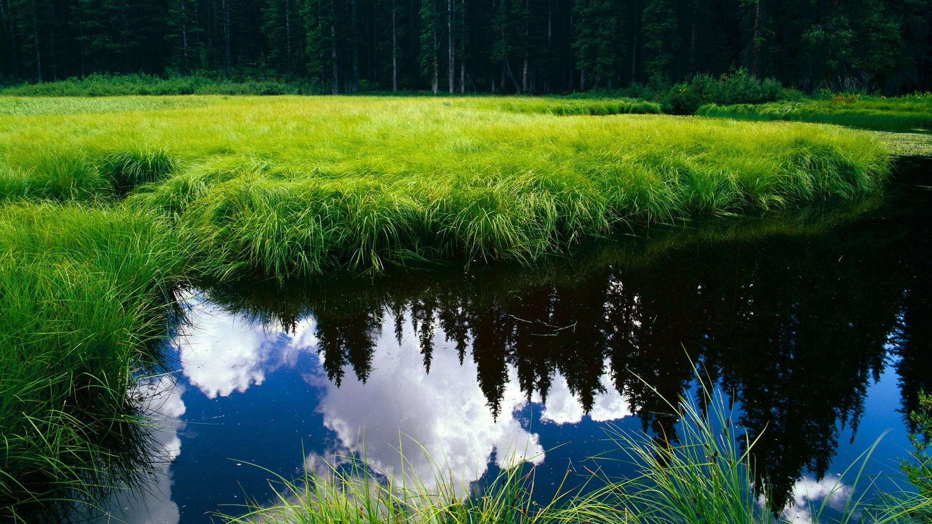 英格拉姆三分雨如瀑，提前关掉尼克斯翻盘悬念