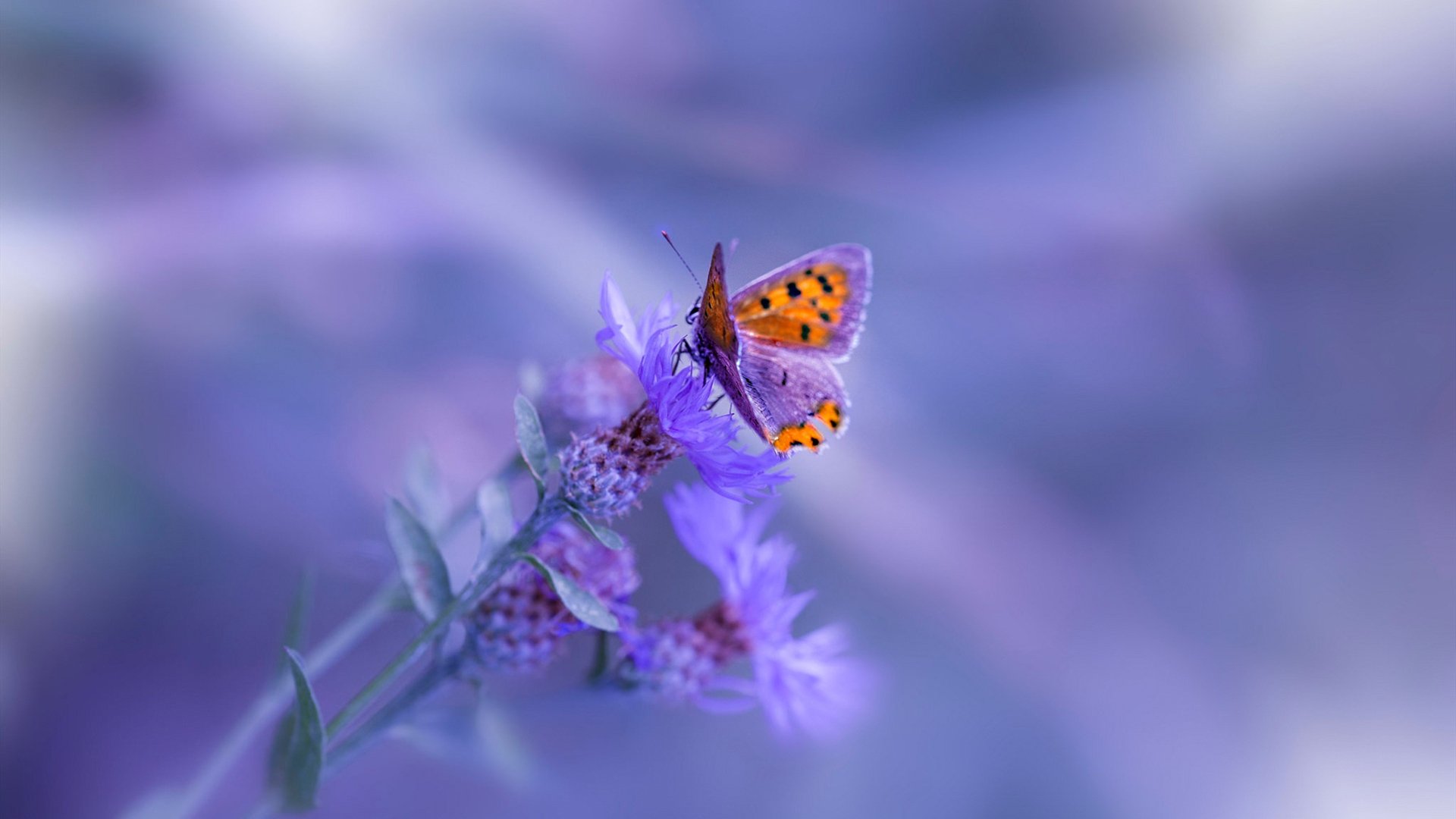 数据说他们毫无关联,但命运却在抢七夜同时拨动了时钟