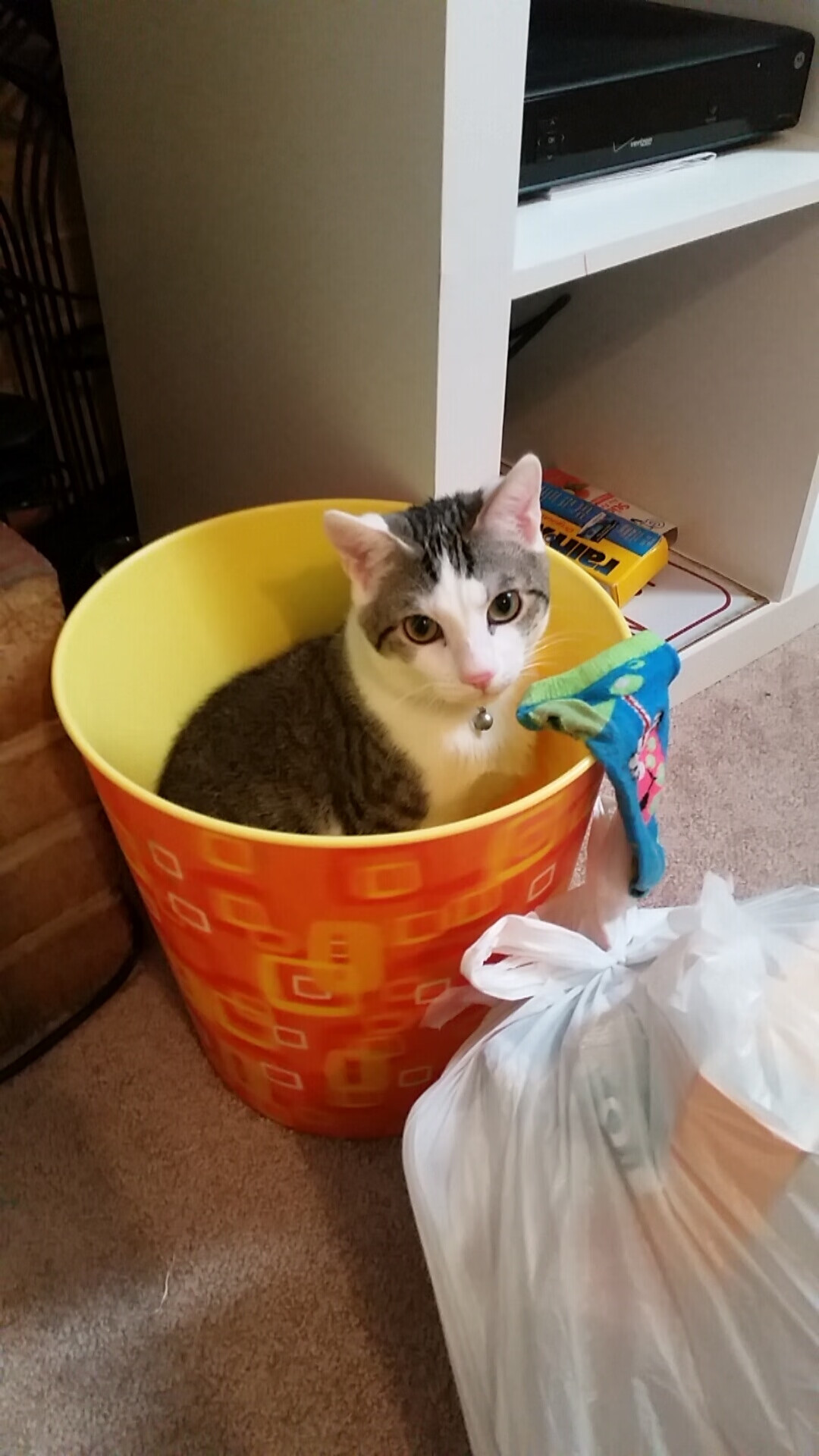 马赛曲对阵法多悲歌,苏亚雷斯如何让葡萄牙的防线成为绝望的布景