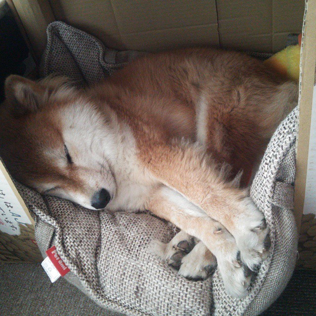 唯一对决，利物浦迎战冰岛，布雷默纪录之夜