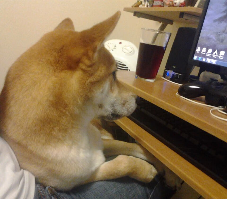 当精密仪器对话高原风暴，阿森纳如何将玻利维亚式足球拆解为战术样本