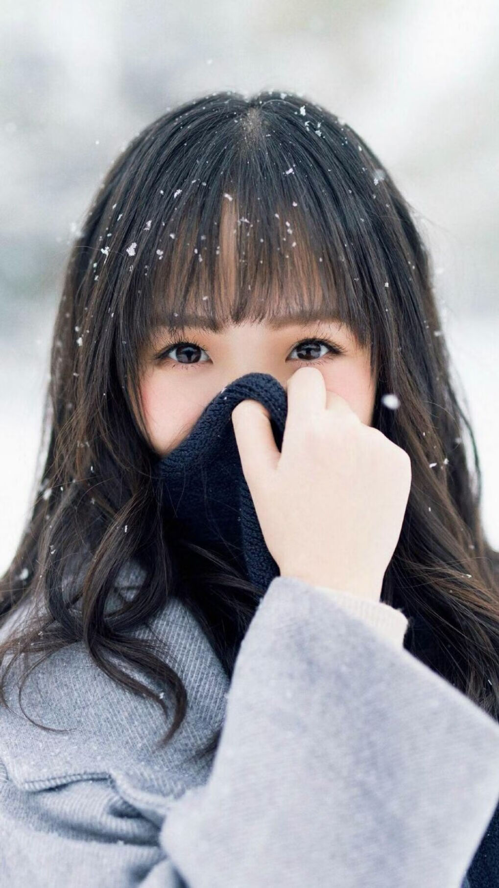 跨联赛镜像，当福克斯附体独行侠，浙江队如何被冠军级表现压制？