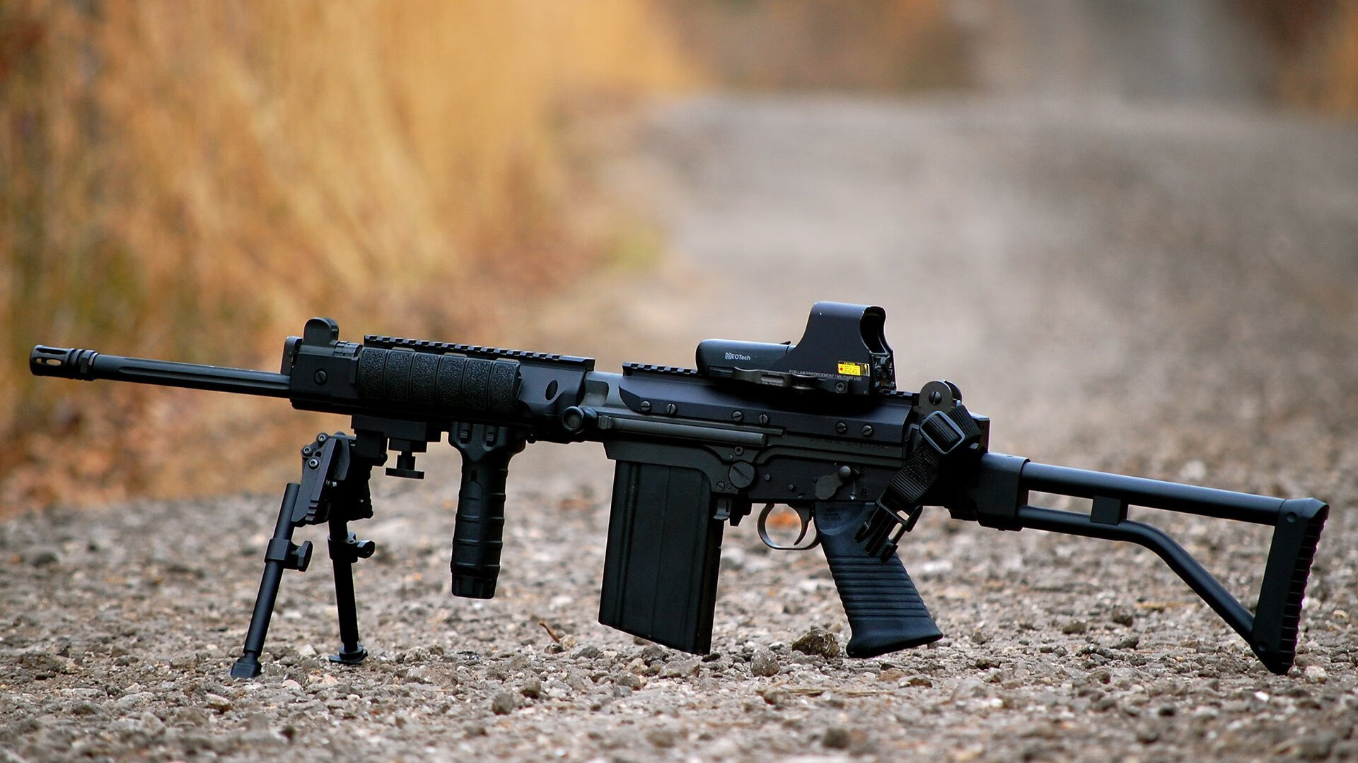 约基奇生涯之夜闪耀！掘金力克森林狼，MVP再证实力