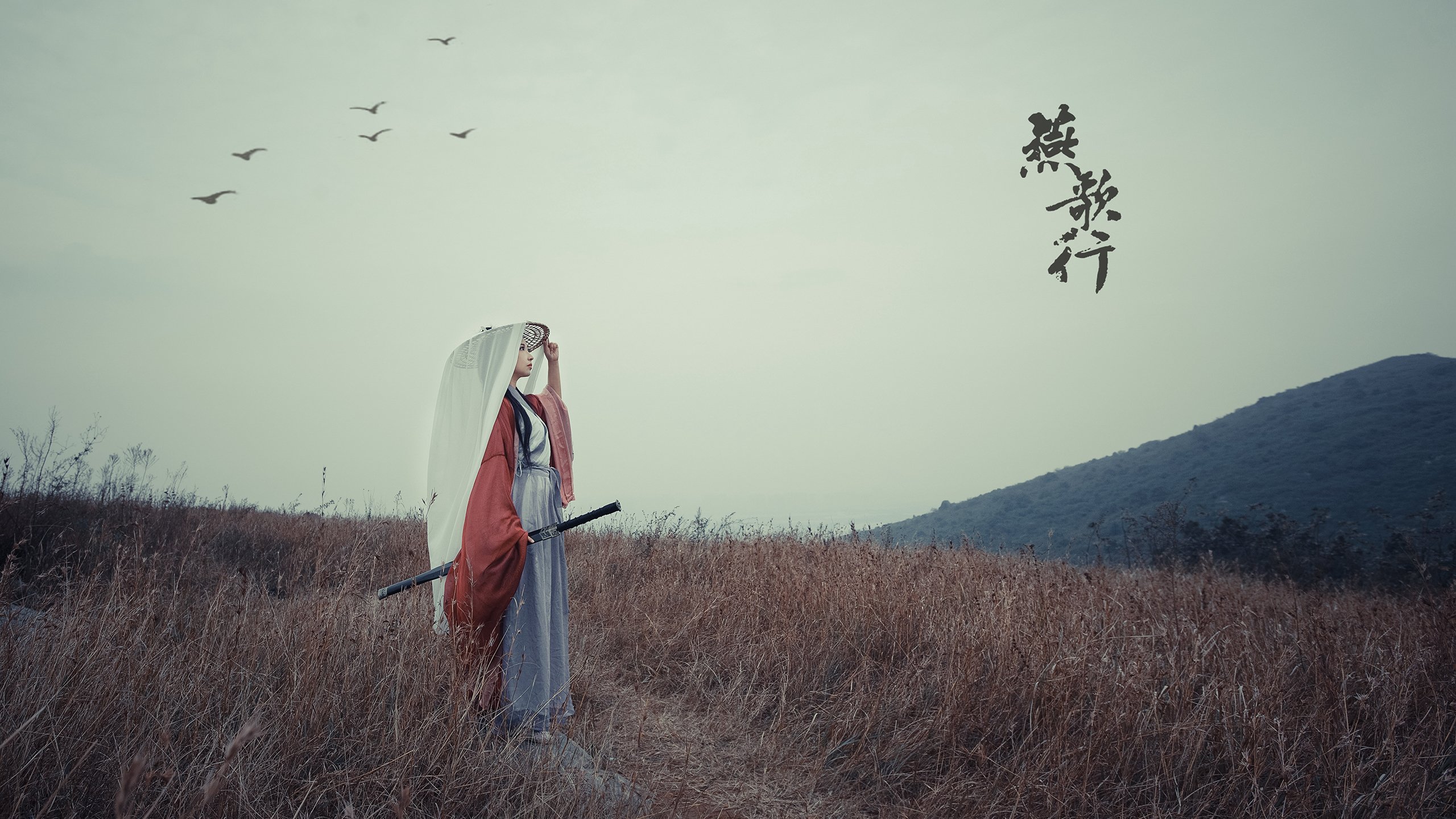 蓝色风暴中的红色独舞，2026世界杯F组焦点战，智利力克乌拉圭，维尼修斯以一己之力改写南美格局