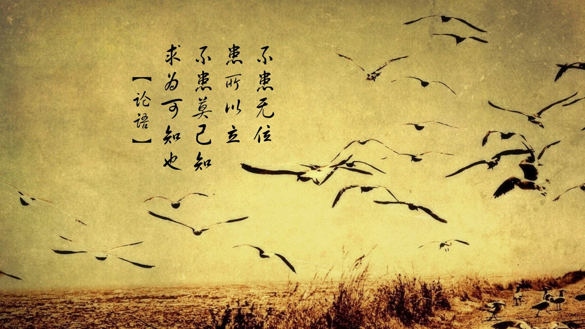 这是一篇为您定制的文章，标题兼具了新闻感与文学性，内容则围绕唯一性展开—强调这场比赛的不可复制、不可预测以及历史性转折