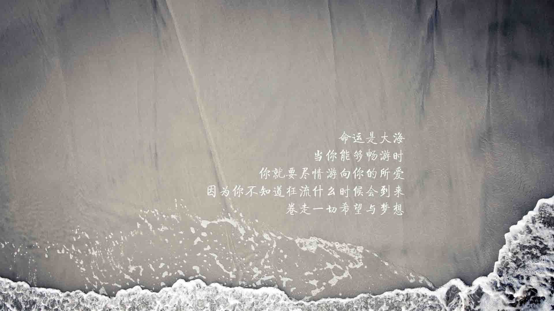 逆转之夜，萨内一剑封喉，塞尔维亚用防守反击书写2026世界杯H组最冷血剧本