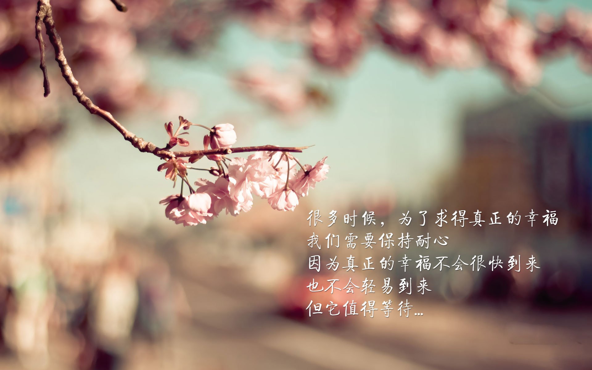 魔笛终响,2026世界杯巅峰对决,克罗地亚绝杀奥地利,哈兰德独造三球闪耀全场
